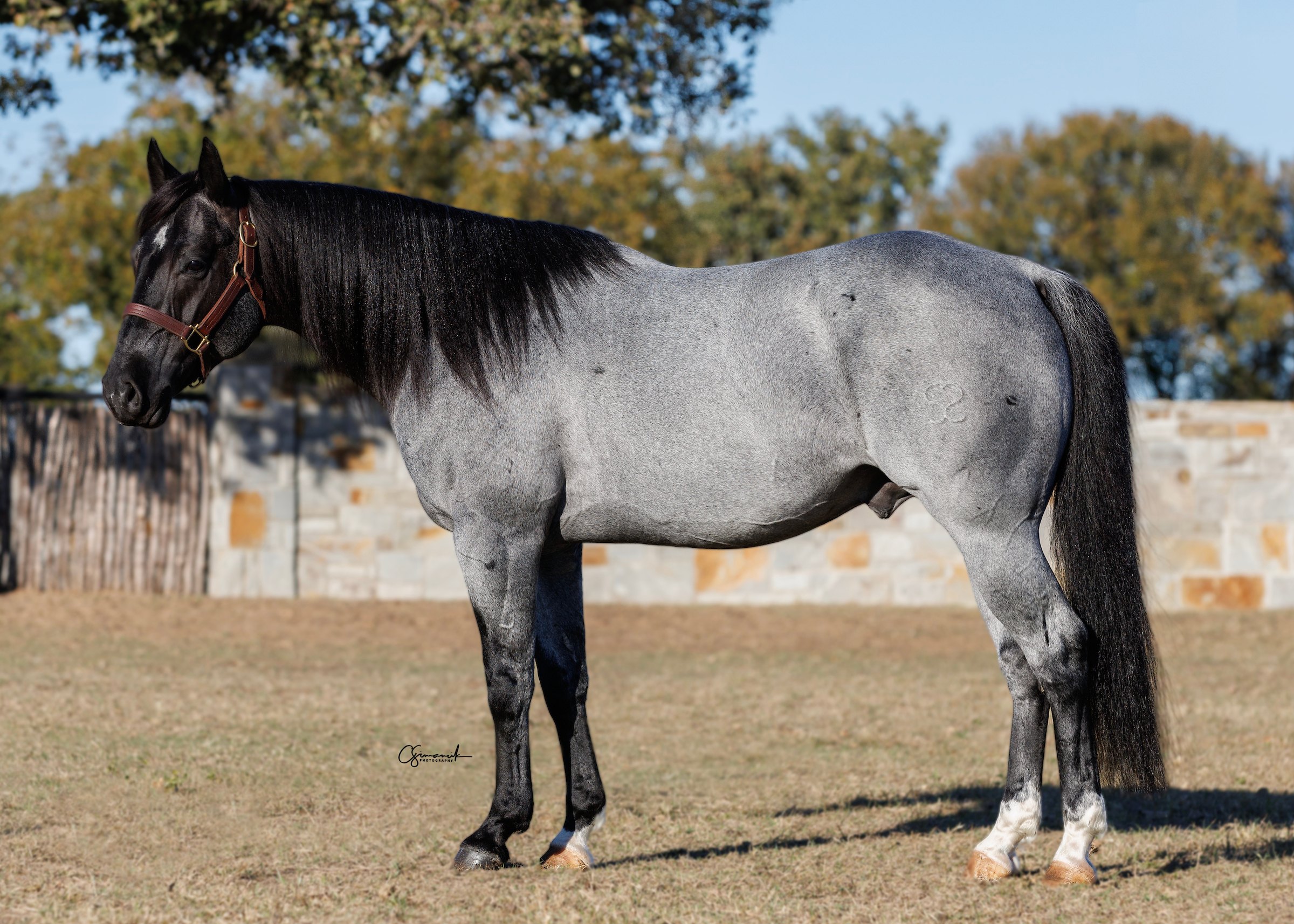 Bet Hes Blu — photo 1